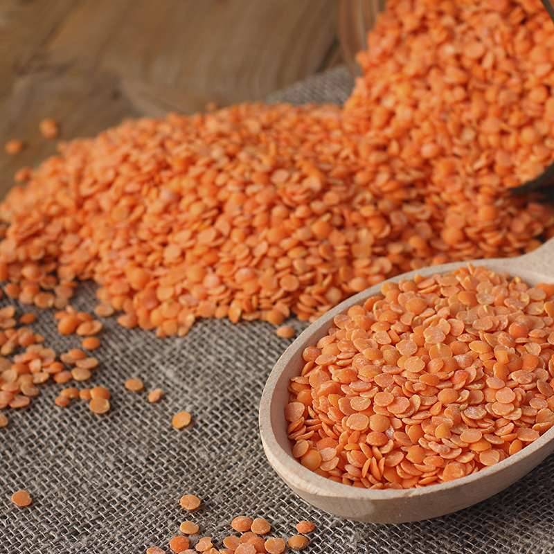 Lentejas Rojas: Un Tesoro Nutricional y Culinario